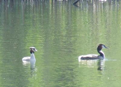 Прикрепленное изображение: su2.jpg